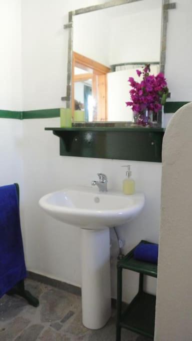 Vakantiehuis Charming On The Sea Turtle *